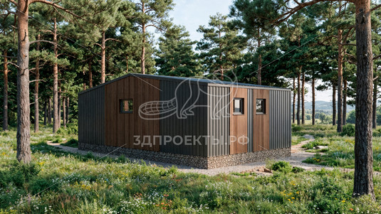 Готовый 3d проект АР+КР020 - дом 9х5 - вид 3