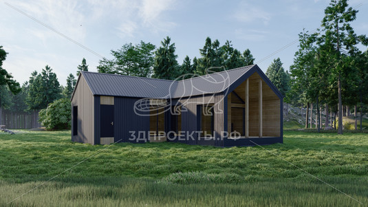 Готовый 3d проект АР+КР039 - дом 17х11.995 - вид 2