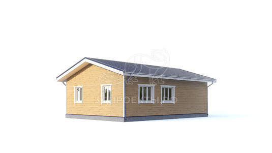 3d проект ДБW290