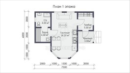 3d проект СП073 - планировка 1 этажа